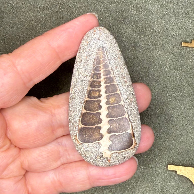close up of cabochon