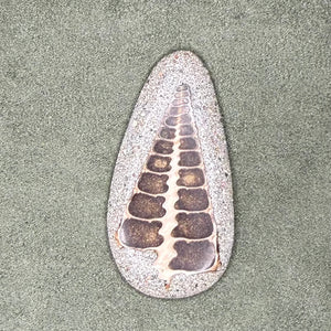 close up of cabochon
