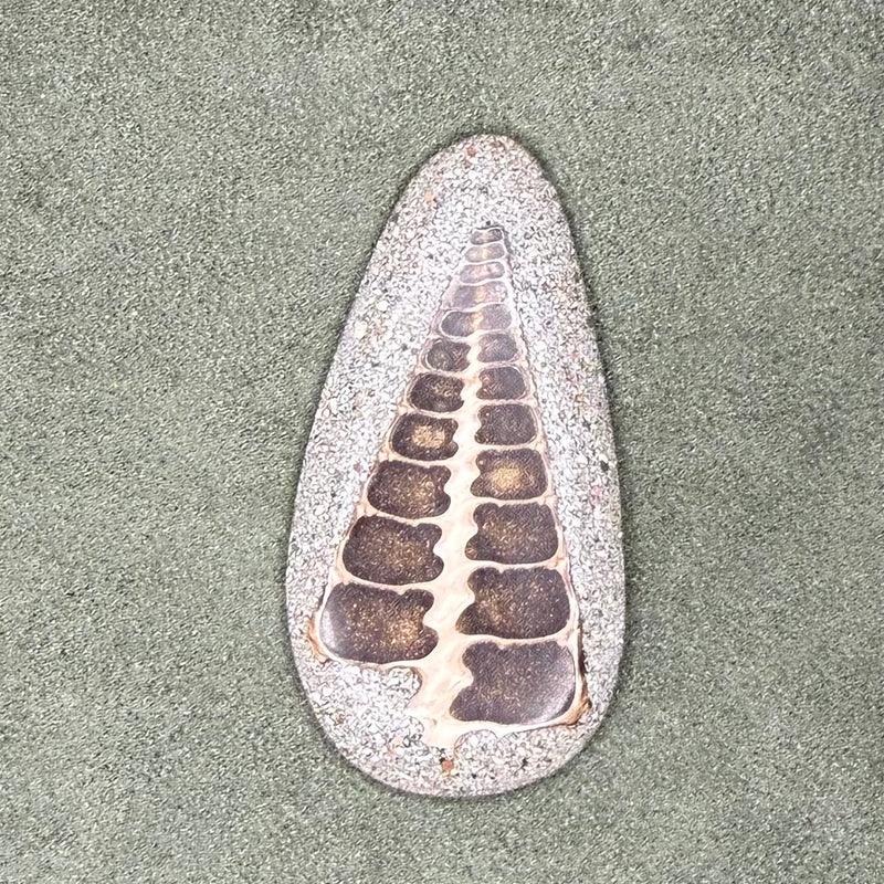 close up of cabochon